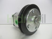 Image OEM35 Barreiros hydraulic gear pump 14.6 cm3 with pulley