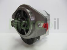 Image OEM89 Terex hydraulic gear pump 20 cm3