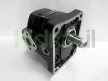 Image KM30.38L0-83E3-LEB/ED-N Casappa hydraulic gear motor 38 cm3 tapered shaft 1:8 and side drain