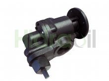 Image HF0010-6 Hidraoil gear pumps for fluid transfer, recirculation or transfer of low viscosity fluids