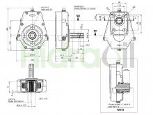 Thumbnail of 70015-5 Hidraoil gearbox cast iron female ratio 1:3.5 up to 37 kW for group 2 and 3 gear pumps