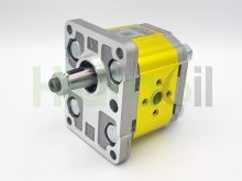 Image X2P6302EQPA Vivolo hydraulic gear pump 40 cm3 with tapered shaft flange ports CW rotation Vivoil