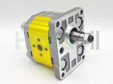 Image X2P6301EQPA Vivolo hydraulic gear pump 40 cm3 with tapered shaft flange ports CCW rotation Vivoil