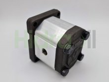 Thumbnail of 1G18CDE10R Roquet hydraulic gear pump 18 cm3 tapered shaft and BSP ports