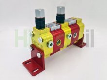 Immagine 9RV02C13 Vivolo divisore di flusso a ingranaggi 2 elementi 2.30 cc/giro con valvole 70-350 bar gruppo 0 Vivoil