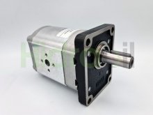 Image PLM20.20R3-48E2-LEA/EB-N-EL 02001178 Casappa hydraulic gear motor 20 cc with straight shaft bidirectional