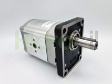 Thumbnail of PLM20.20R3-48E2-LEA/EB-N-EL 02001178 Motore idraulico Casappa ingranaggi 20 cc albero cilindrico bidirezionale