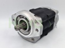 Thumbnail of DSG1A32D3Z9-R358 hydraulische Zahnradpumpe mit Keilwelle